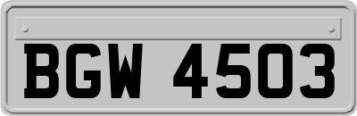 BGW4503