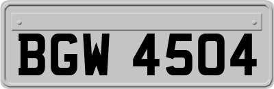 BGW4504