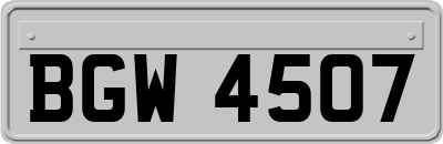 BGW4507