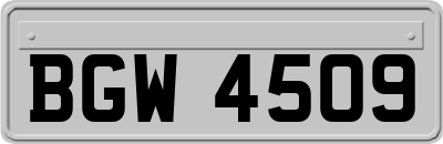 BGW4509