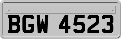 BGW4523