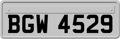 BGW4529