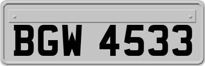 BGW4533