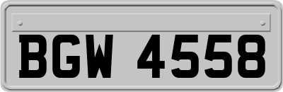 BGW4558