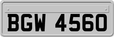 BGW4560