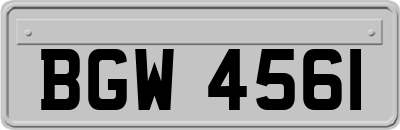 BGW4561