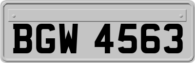 BGW4563
