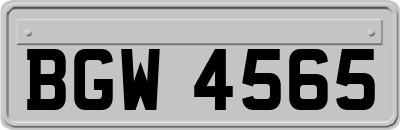 BGW4565