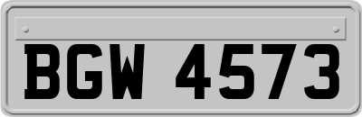 BGW4573