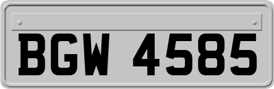 BGW4585