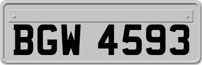 BGW4593