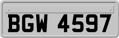 BGW4597