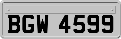 BGW4599