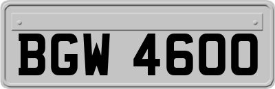 BGW4600