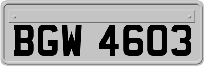 BGW4603