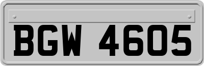 BGW4605