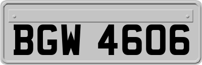 BGW4606