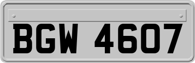 BGW4607