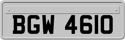 BGW4610