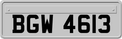 BGW4613