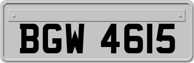 BGW4615