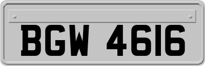 BGW4616