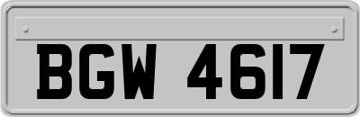BGW4617