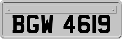 BGW4619