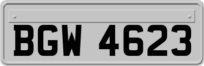 BGW4623