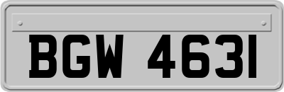 BGW4631