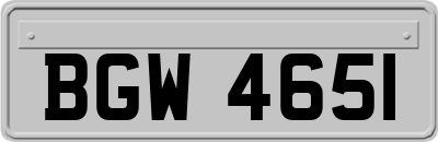 BGW4651