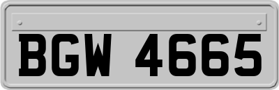BGW4665