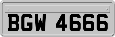 BGW4666