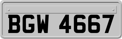 BGW4667