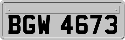 BGW4673