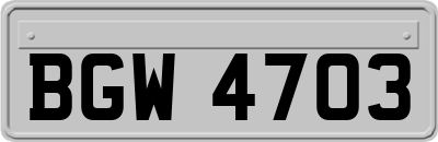 BGW4703