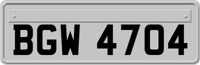 BGW4704