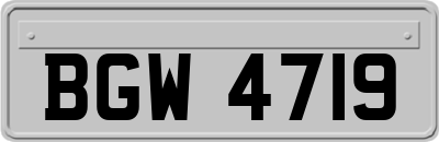 BGW4719