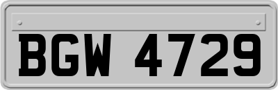 BGW4729