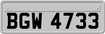 BGW4733