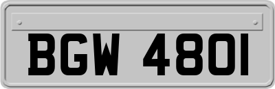 BGW4801
