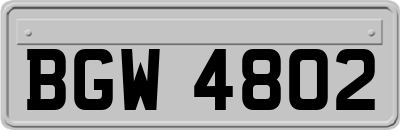 BGW4802