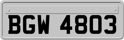 BGW4803