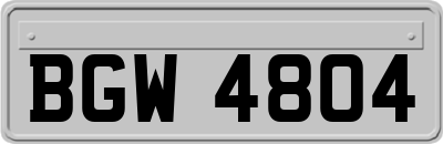 BGW4804