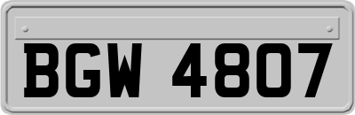 BGW4807