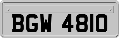 BGW4810