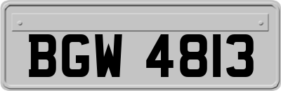 BGW4813
