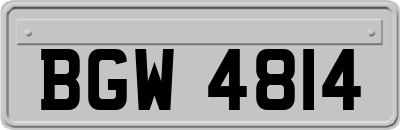 BGW4814