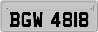 BGW4818