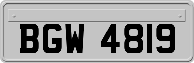 BGW4819